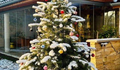 Découvrez cette sublime réalisation : fermeture de terrasse sur-mesure, conçue et installée pour s’intégrer parfaitement à cette habitation dans l’Ain (01)