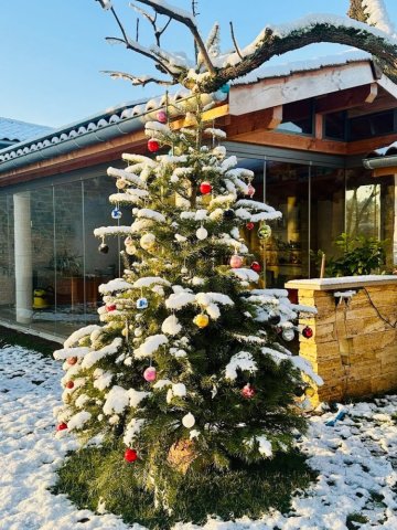 Découvrez cette sublime réalisation : fermeture de terrasse sur-mesure, conçue et installée pour s’intégrer parfaitement à cette habitation dans l’Ain (01)