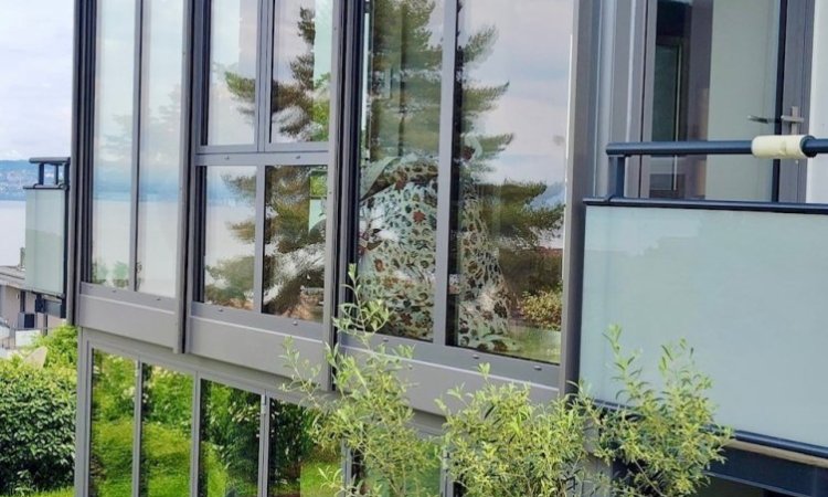 Pose d'une extension entièrement vitrée sur deux niveaux avec une magnifique vue sur le lac Léman (74)