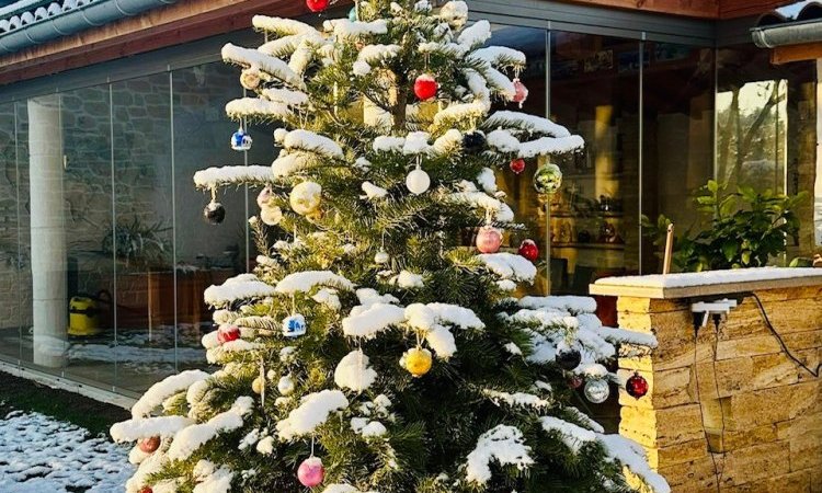 Conception et installation d’un système de fermeture de terrasse sur-mesure, harmonieusement intégré à cette habitation située dans l’Ain (01)
